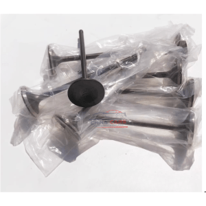 xu pap 1
